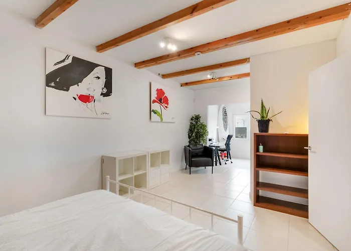 El Doctoral * וסינדריו